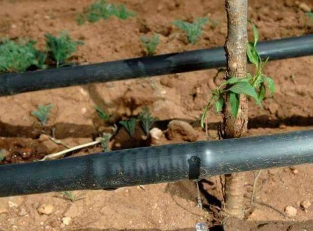 تمديد شبكات الرى