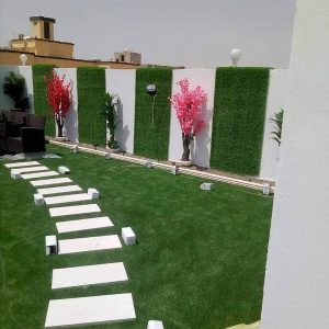 عشب جدارى