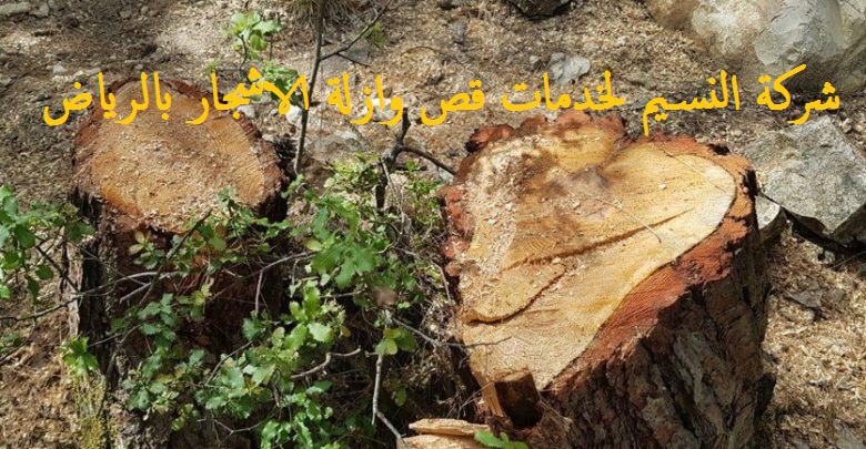 قص الاشجار في الرياض