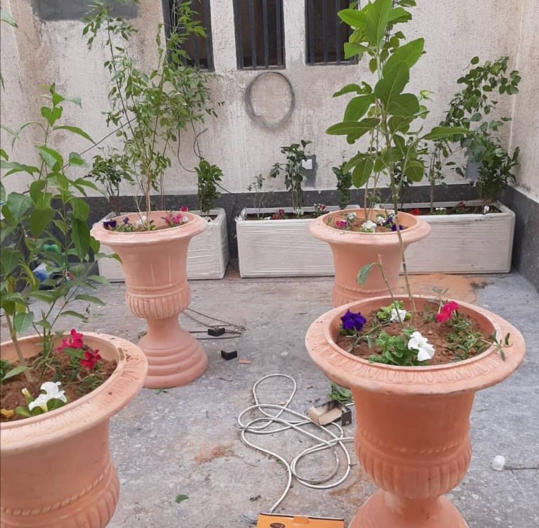 احواض زرع كبيره